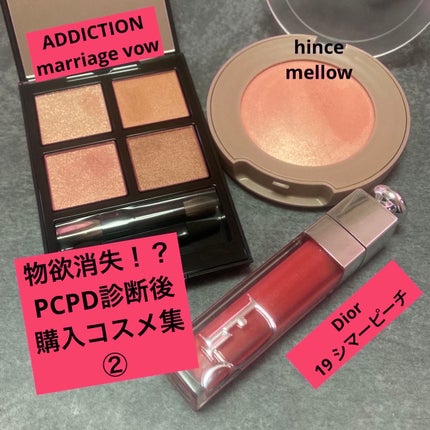 アディクション ザ アイシャドウ パレット/ADDICTION/アイシャドウパレットを使ったクチコミ(1枚目)