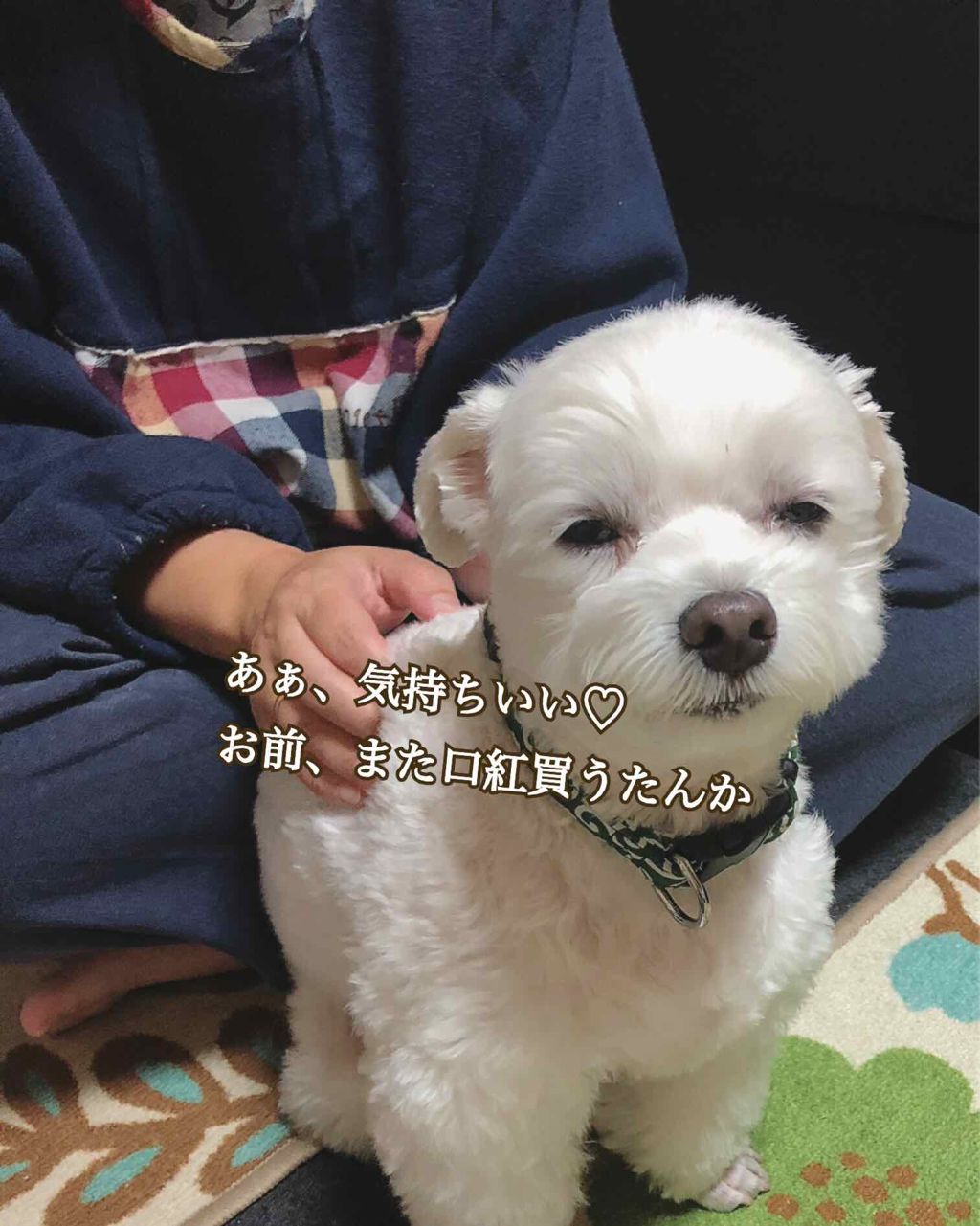 口紅 ケース メタル/ちふれ/その他化粧小物を使ったクチコミ(4枚目)