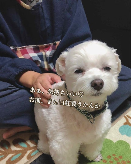 口紅 ケース メタル/ちふれ/その他化粧小物を使ったクチコミ(4枚目)