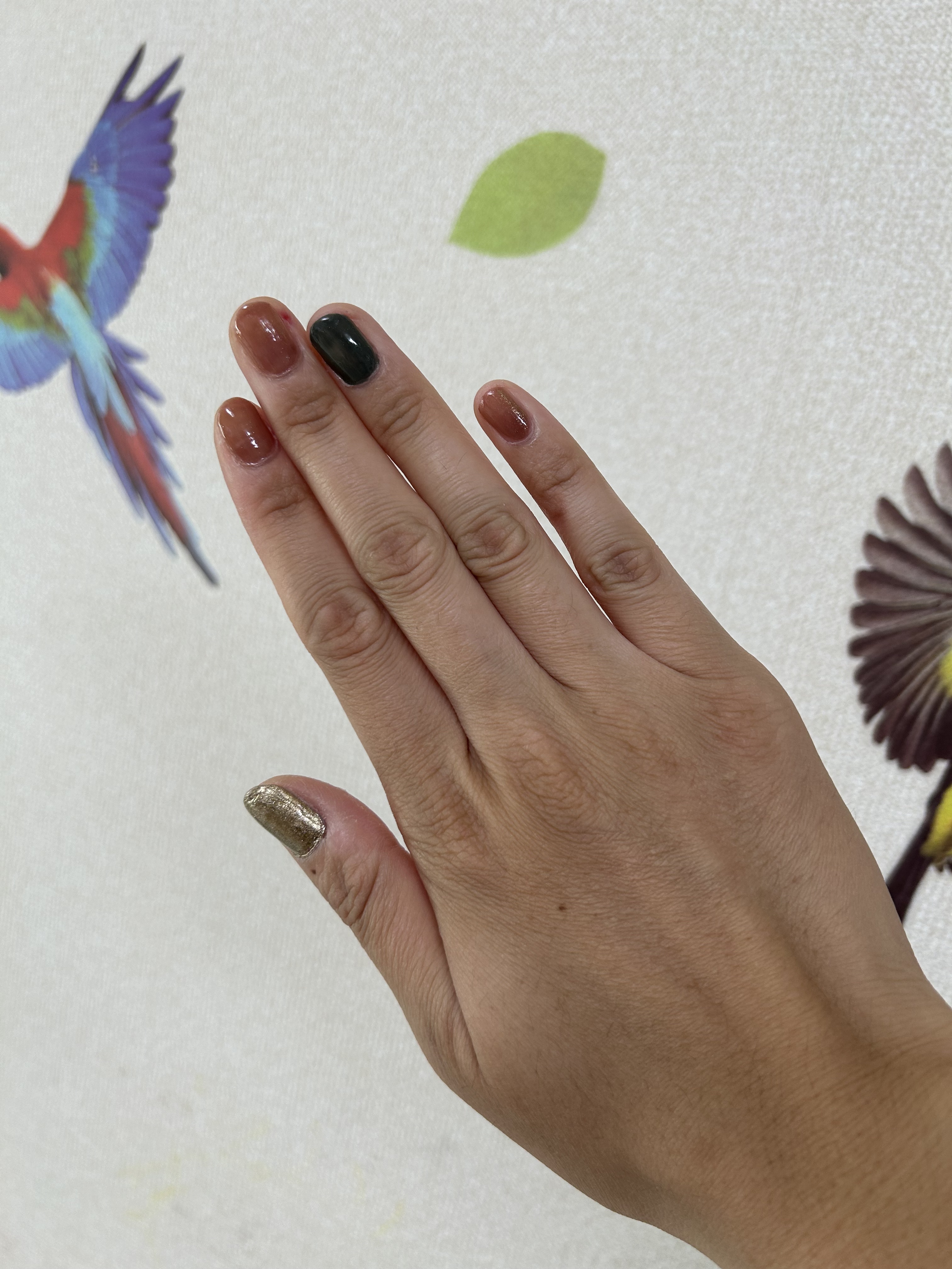 クイック ドライ ベース コート N/REVLON/ネイルベースコートを使ったクチコミ（3枚目）