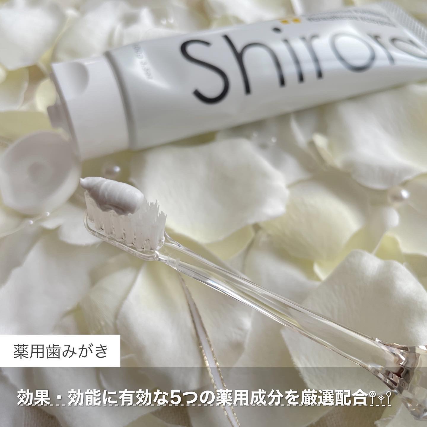 シローラ薬用クレイホワイトニング（知覚過敏ケア）/Shirora/歯磨き粉を使ったクチコミ（2枚目）