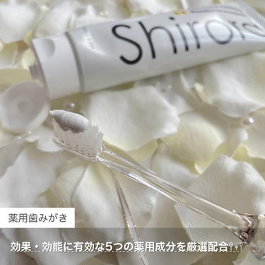 シローラ薬用クレイホワイトニング（知覚過敏ケア）/Shirora/歯磨き粉を使ったクチコミ（2枚目）