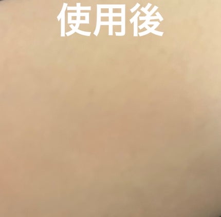 デリケートシルクベールアートプライマー/TFIT/化粧下地を使ったクチコミ(3枚目)