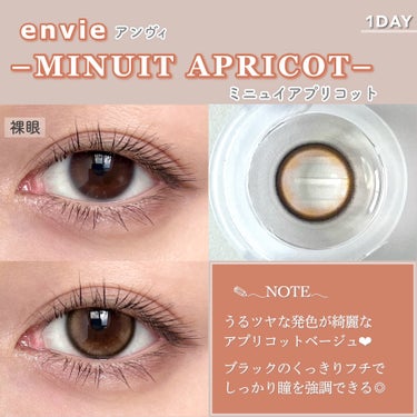 envie 1day/envie/ワンデー（１DAY）カラコンの画像