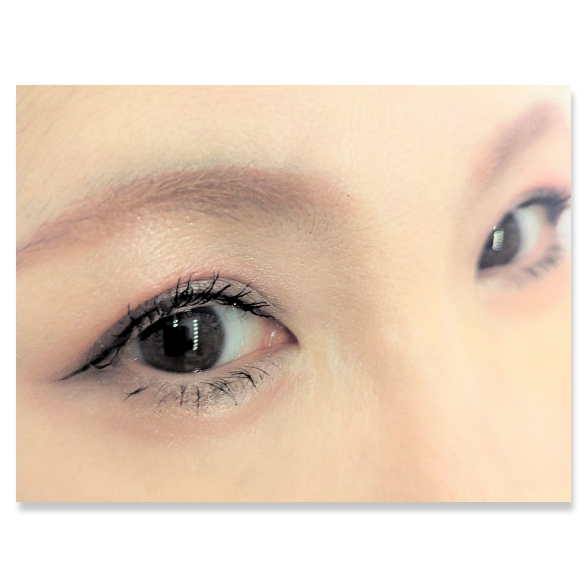 ショコラスウィート アイズ/リンメル ロンドン/アイシャドウパレットを使ったクチコミ（2枚目）