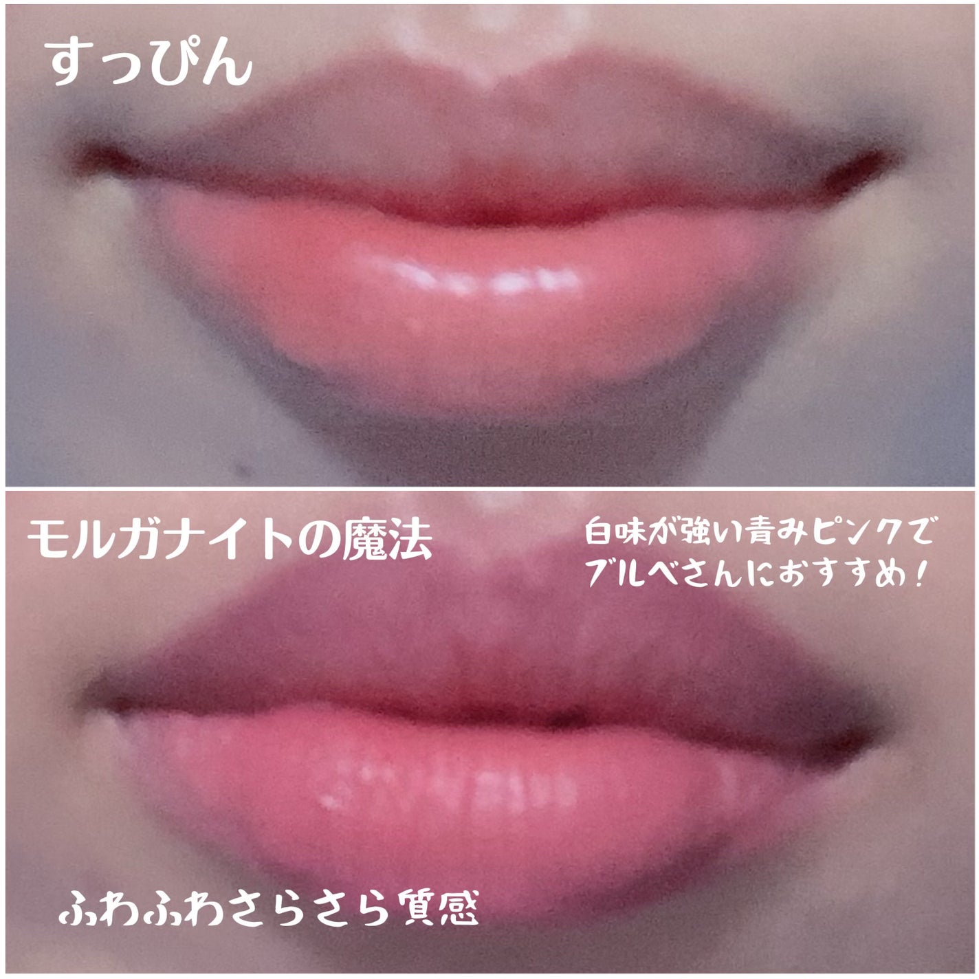 マットジュエルリップコレクション/Armuje/口紅を使ったクチコミ(3枚目)