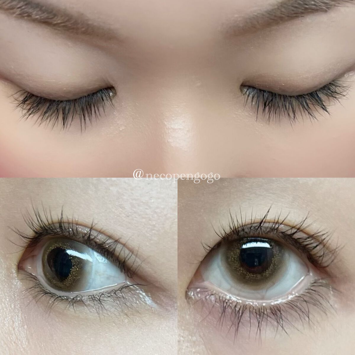 湘南美容まつ毛美容液/Co-medical+/まつげ美容液を使ったクチコミ(3枚目)