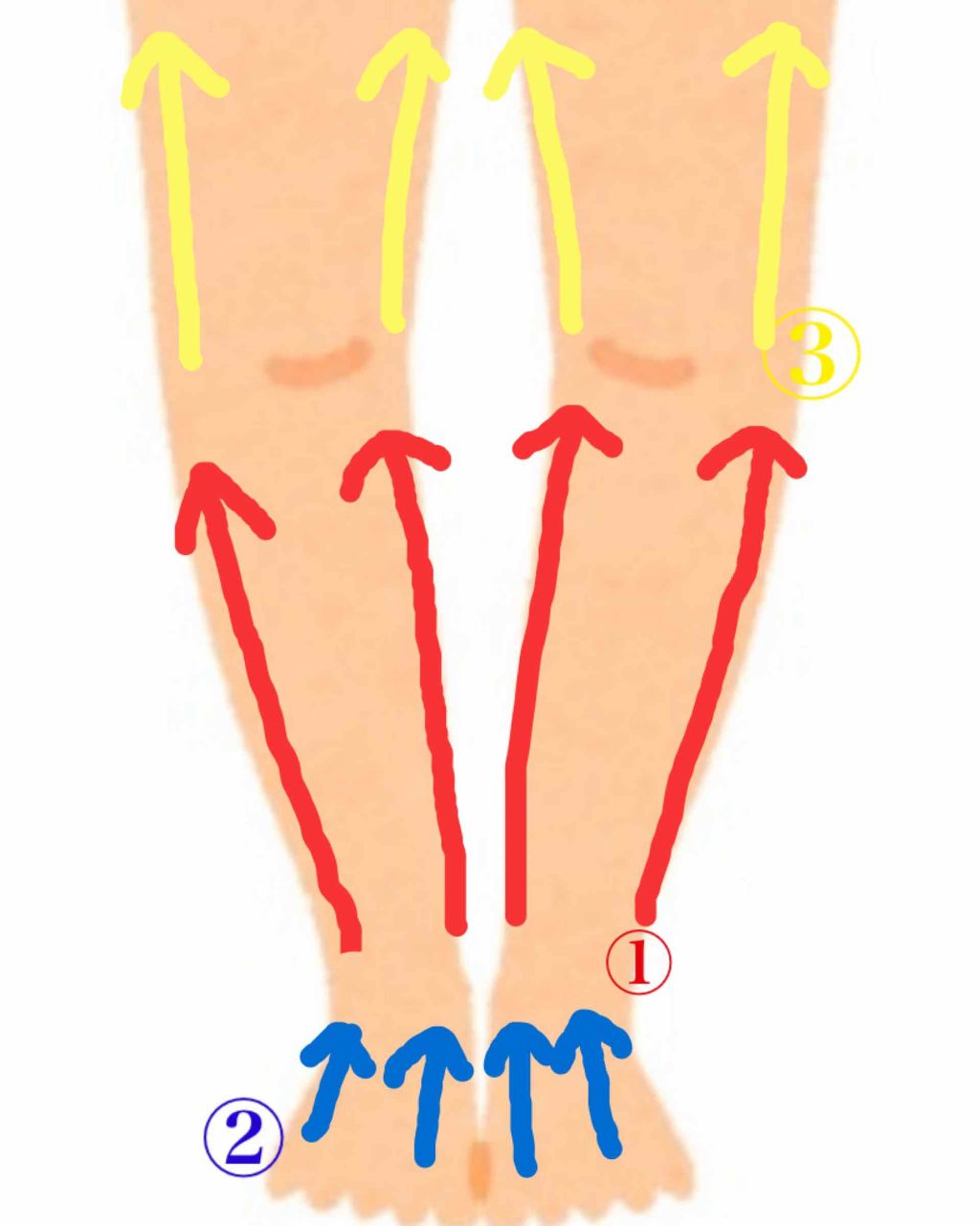 乳液・敏感肌用・高保湿タイプ/無印良品/乳液を使ったクチコミ（2枚目）