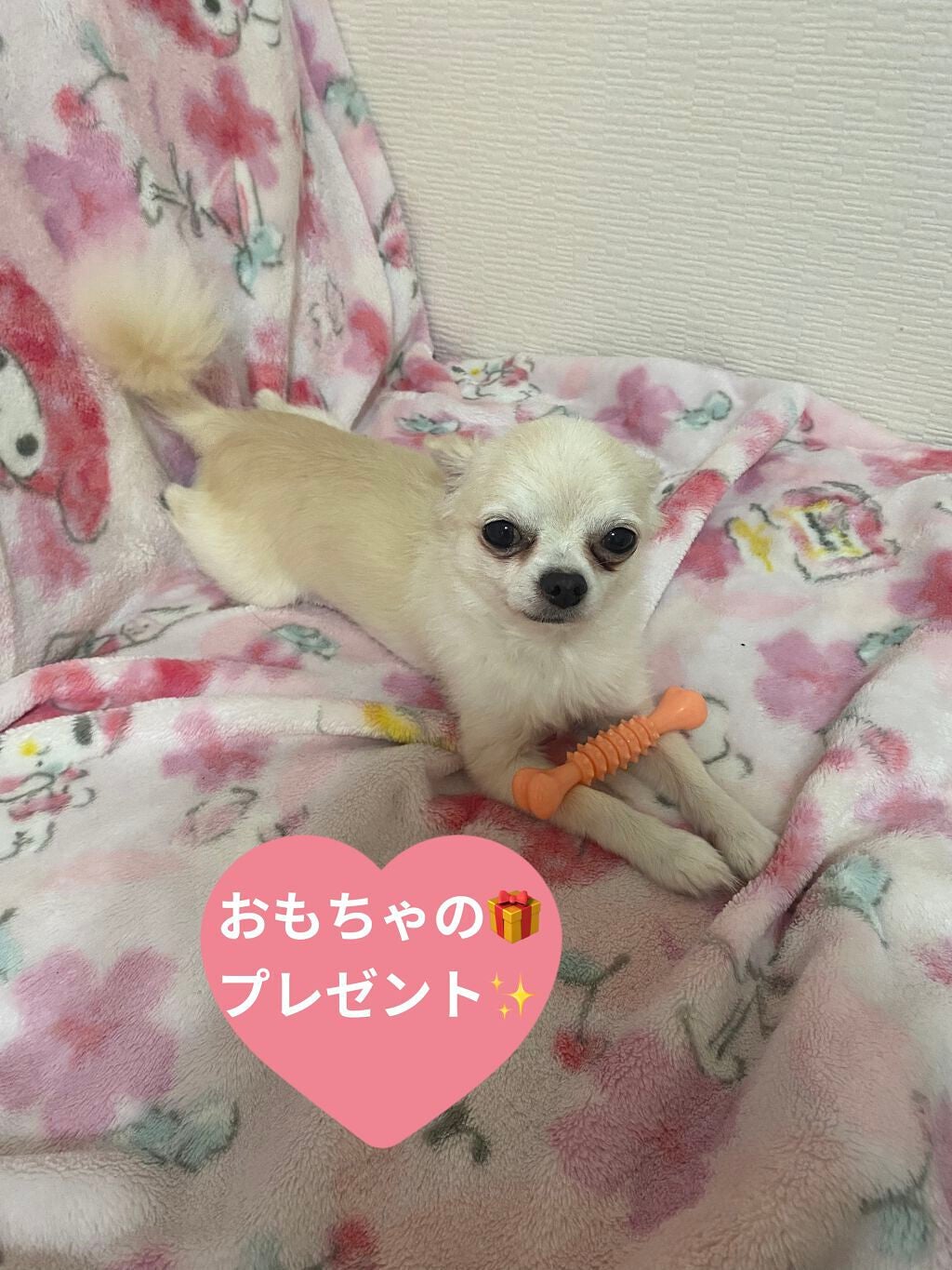 インテンスアイズ クリーミーアイシャドウスティック/DOLCE&GABBANA BEAUTY/スティックアイシャドウを使ったクチコミ(7枚目)