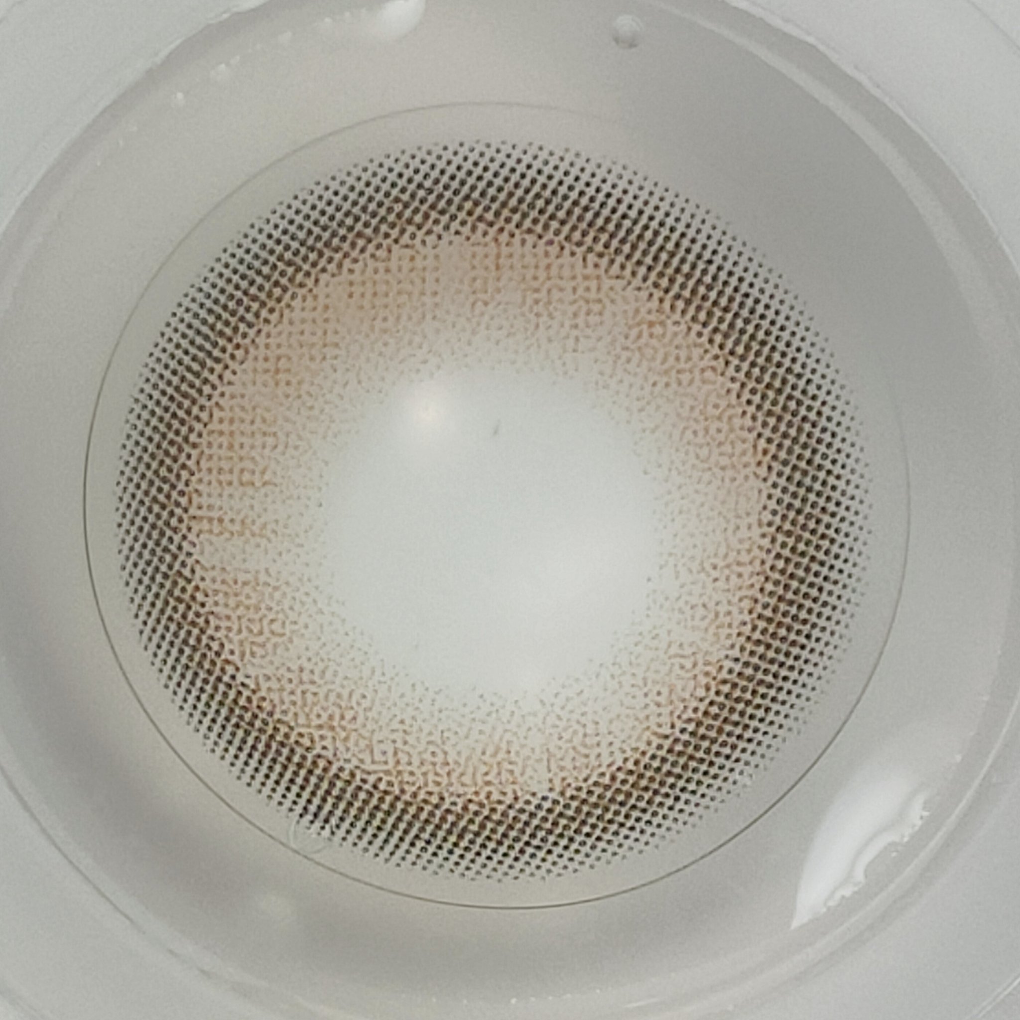 HoneyDrops 1day 15.0mm ベビーブラウン/HONEY DROPS/ワンデー（１DAY）カラコンを使ったクチコミ（3枚目）