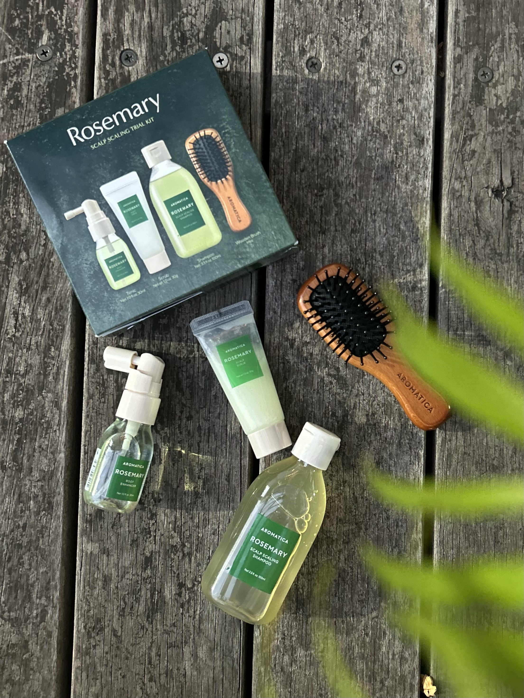 AROMATICA ローズマリーヘアケアキットのクチコミ「すっきり頭皮ケア

MEGUMIさんがPICKした🌿
11月1日からロフトで発売される
ARO.....」（3枚目）