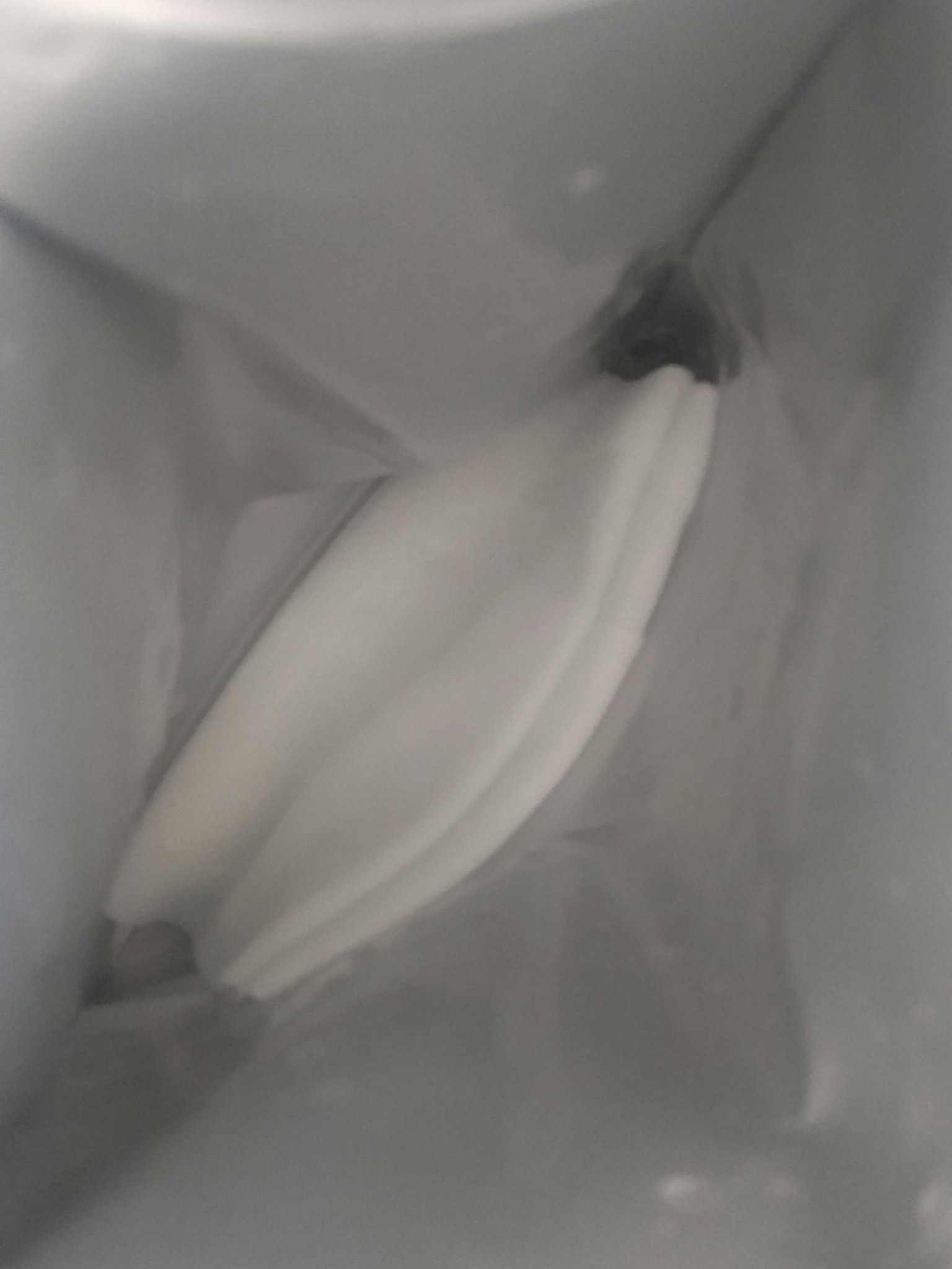 ダーマレーザースペクター VCMAXマスクZ/クオリティファースト/シートマスク・パックを使ったクチコミ（2枚目）