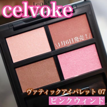 ヴァティック アイパレット/Celvoke/アイシャドウパレットを使ったクチコミ（2枚目）