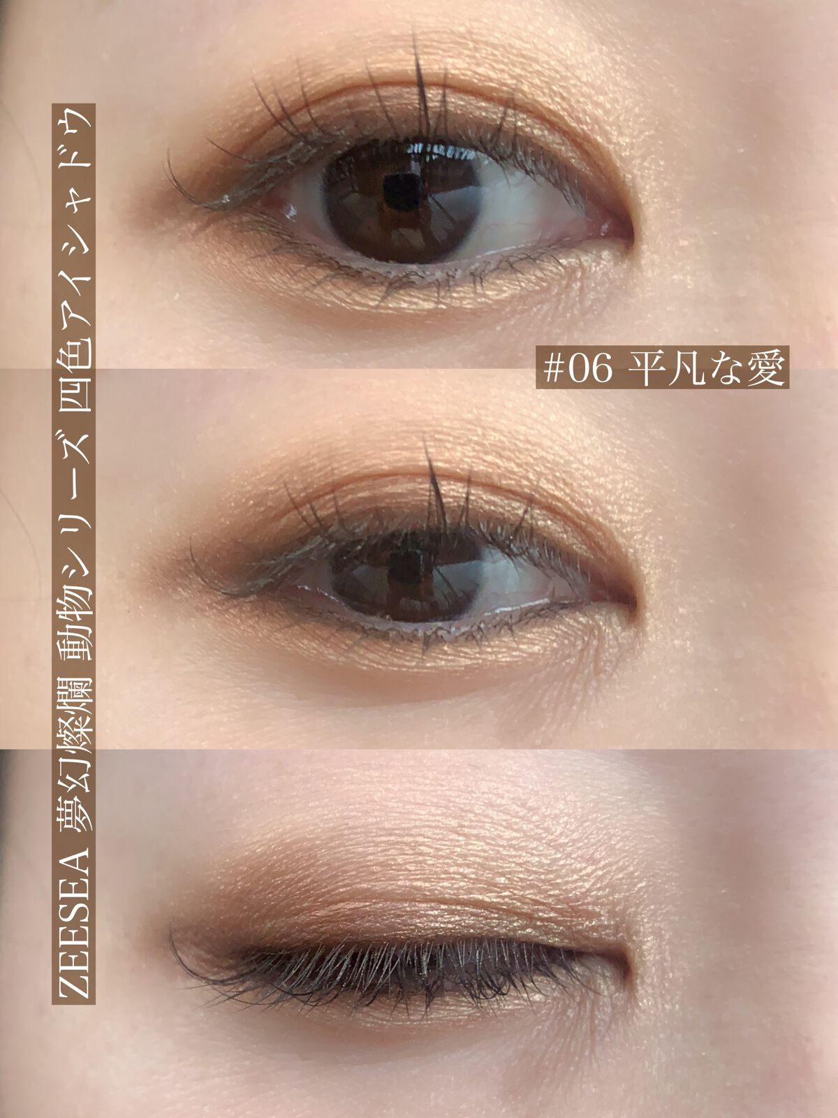 アニマルアイシャドウ(4シェード) 06 平凡な愛/ZEESEA/アイシャドウパレットを使ったクチコミ（3枚目）