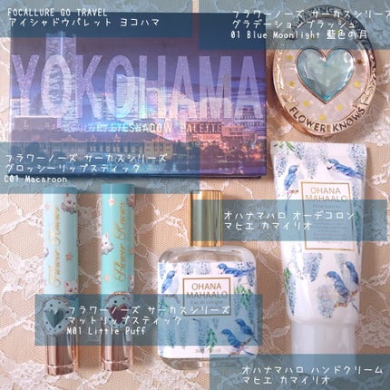サーカスシリーズ グラデーションブラッシュ /FlowerKnows/パウダーチークを使ったクチコミ(3枚目)