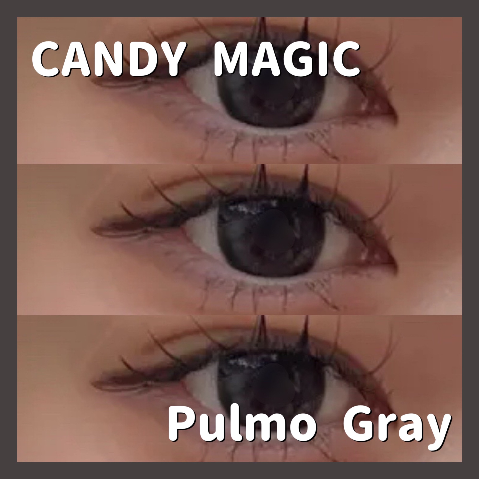 secretcandymagic 1day(シークレットキャンディーマジック） プルモグレー/secret candymagic/ワンデー（１DAY）カラコンを使ったクチコミ（1枚目）