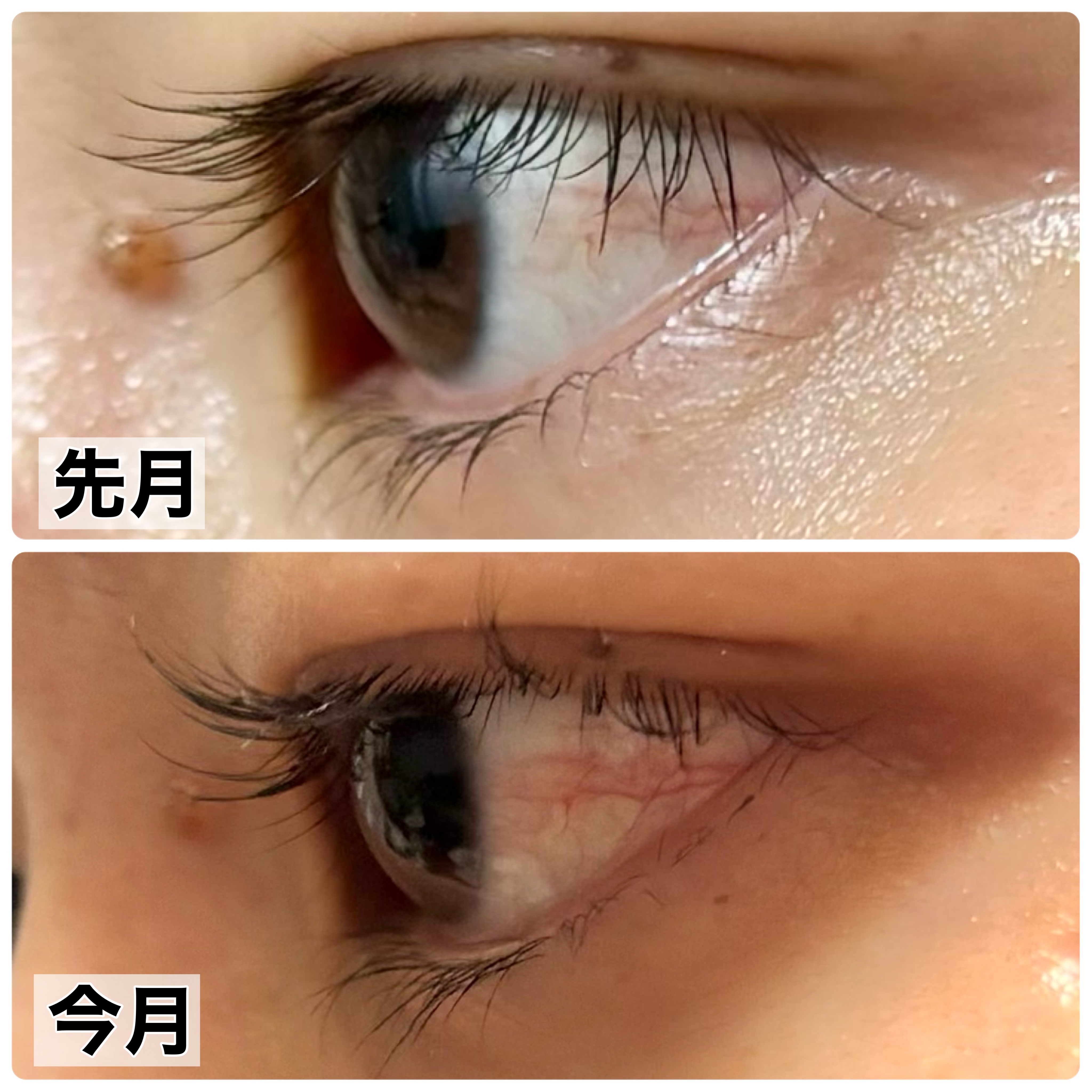 ラッシュルーティーン/キャンメイク/まつげ美容液を使ったクチコミ（3枚目）