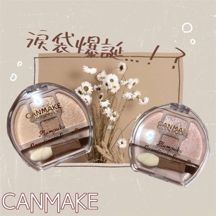 プランぷくコーデアイズ/キャンメイク/パウダーアイシャドウを使ったクチコミ(1枚目)