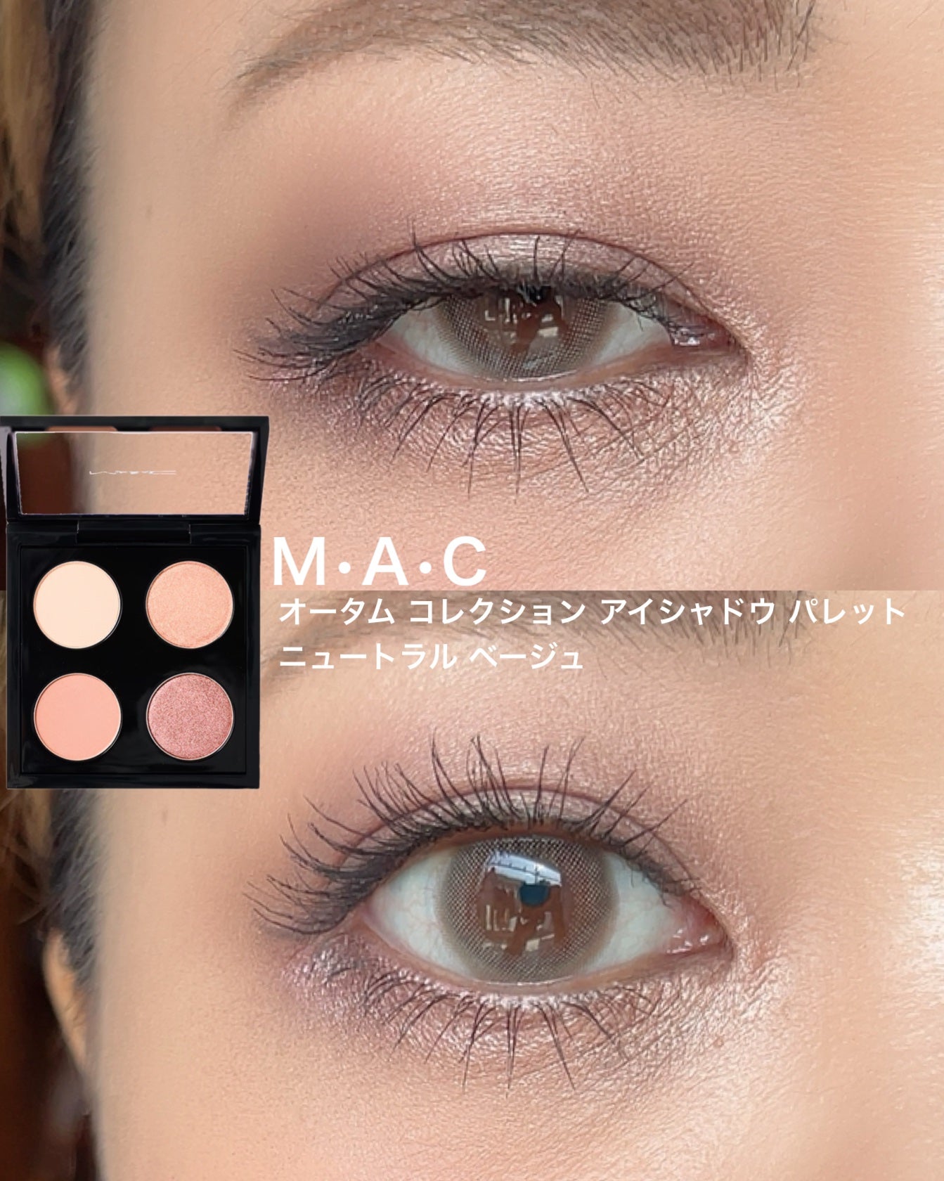 オータムコレクションアイシャドウパレット/M・A・C/アイシャドウパレットを使ったクチコミ(2枚目)