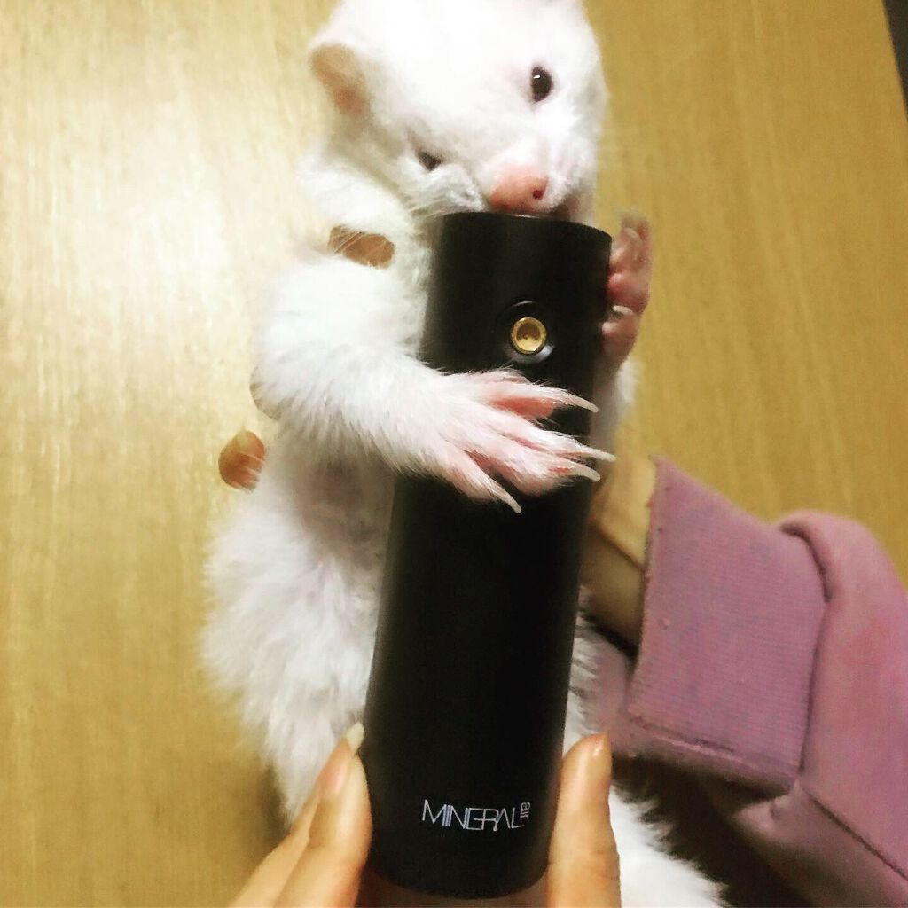 ミネラルエアー スターターセット/ONLY MINERALS/メイクアップキットを使ったクチコミ（3枚目）