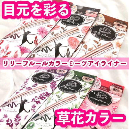 カラーミーツ アイライナー/リリーフルール/リキッドアイライナーを使ったクチコミ(1枚目)