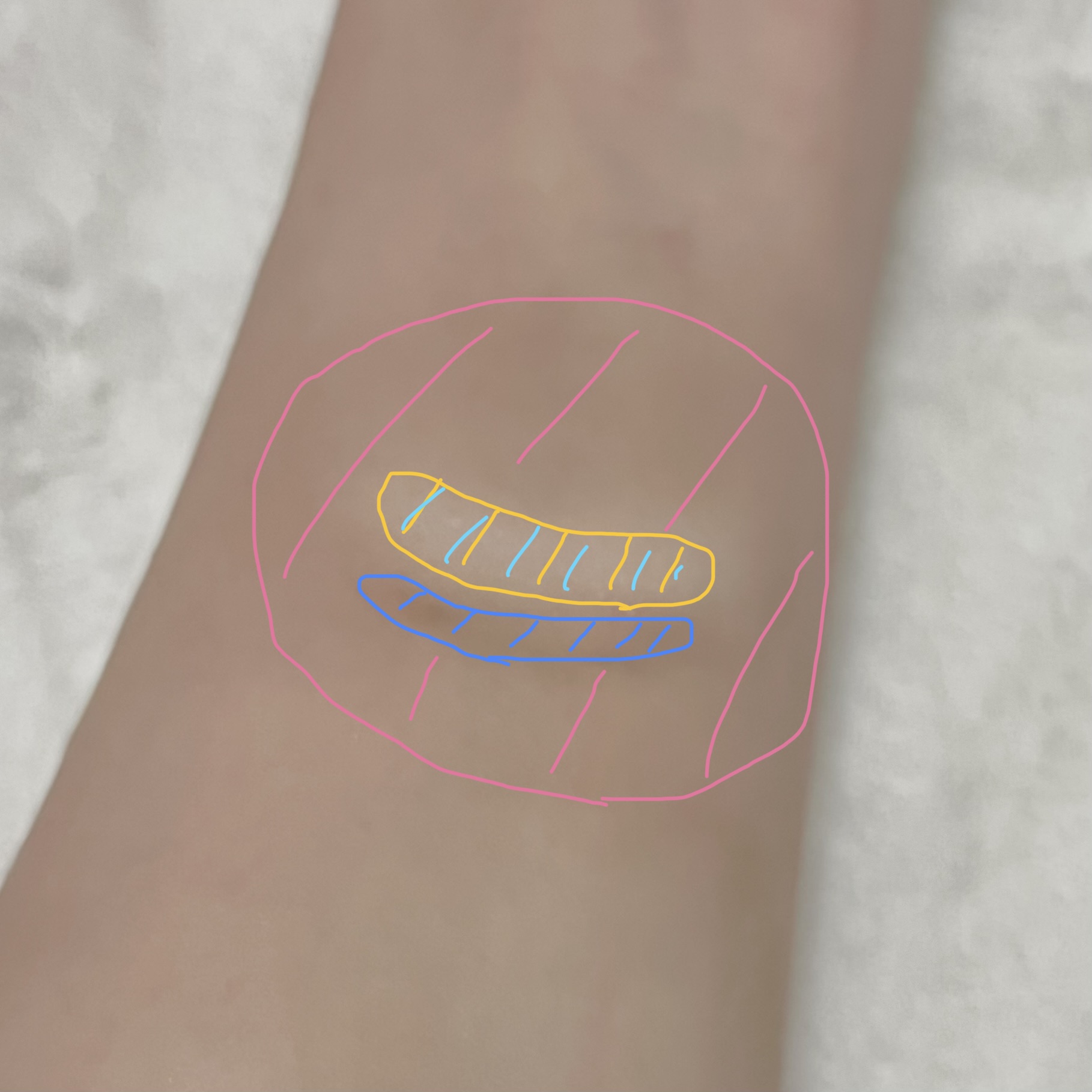 コントゥアリング パウダーアイブロウ/DECORTÉ/パウダーアイブロウを使ったクチコミ（3枚目）