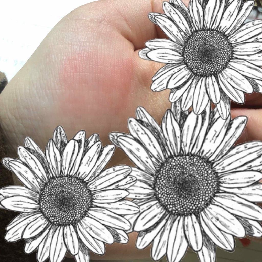 インク エアリー ベルベット/PERIPERA/口紅を使ったクチコミ(3枚目)