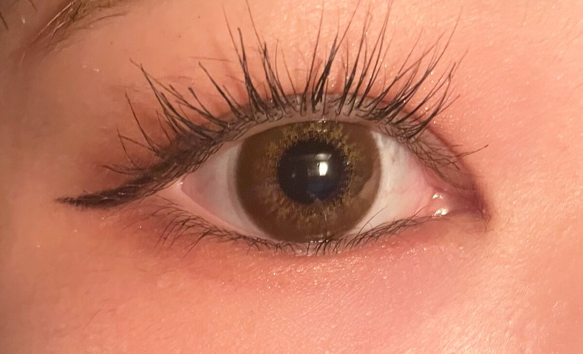 ラッシュボーン ブラックファイバーイン/MAJOLICA MAJORCA/マスカラ下地を使ったクチコミ（1枚目）