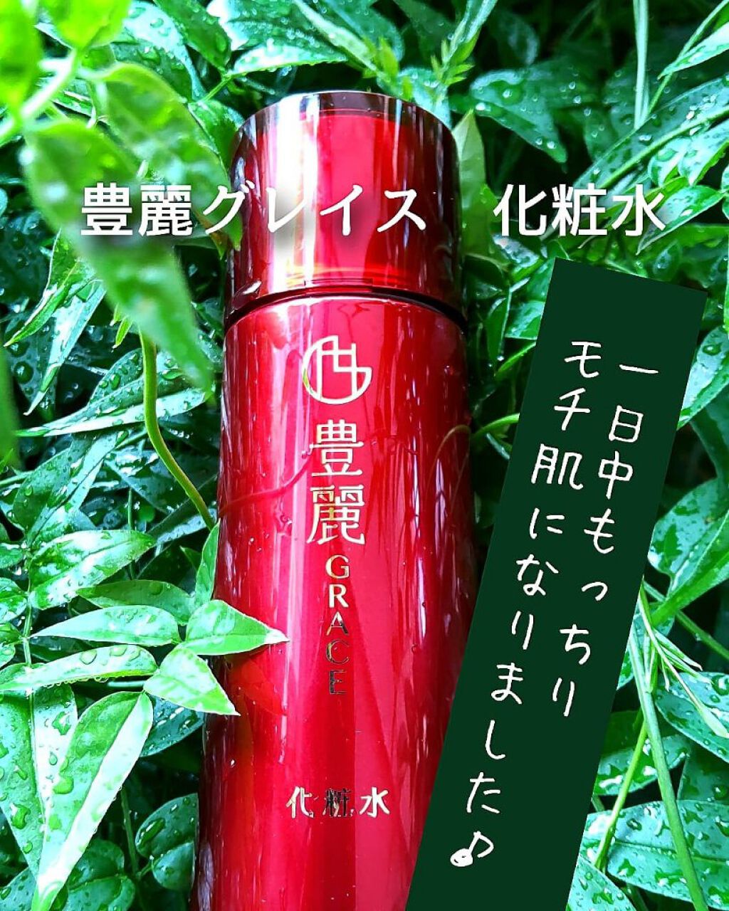 豊麗グレイス 化粧水/ナノエッグ/化粧水を使ったクチコミ（1枚目）