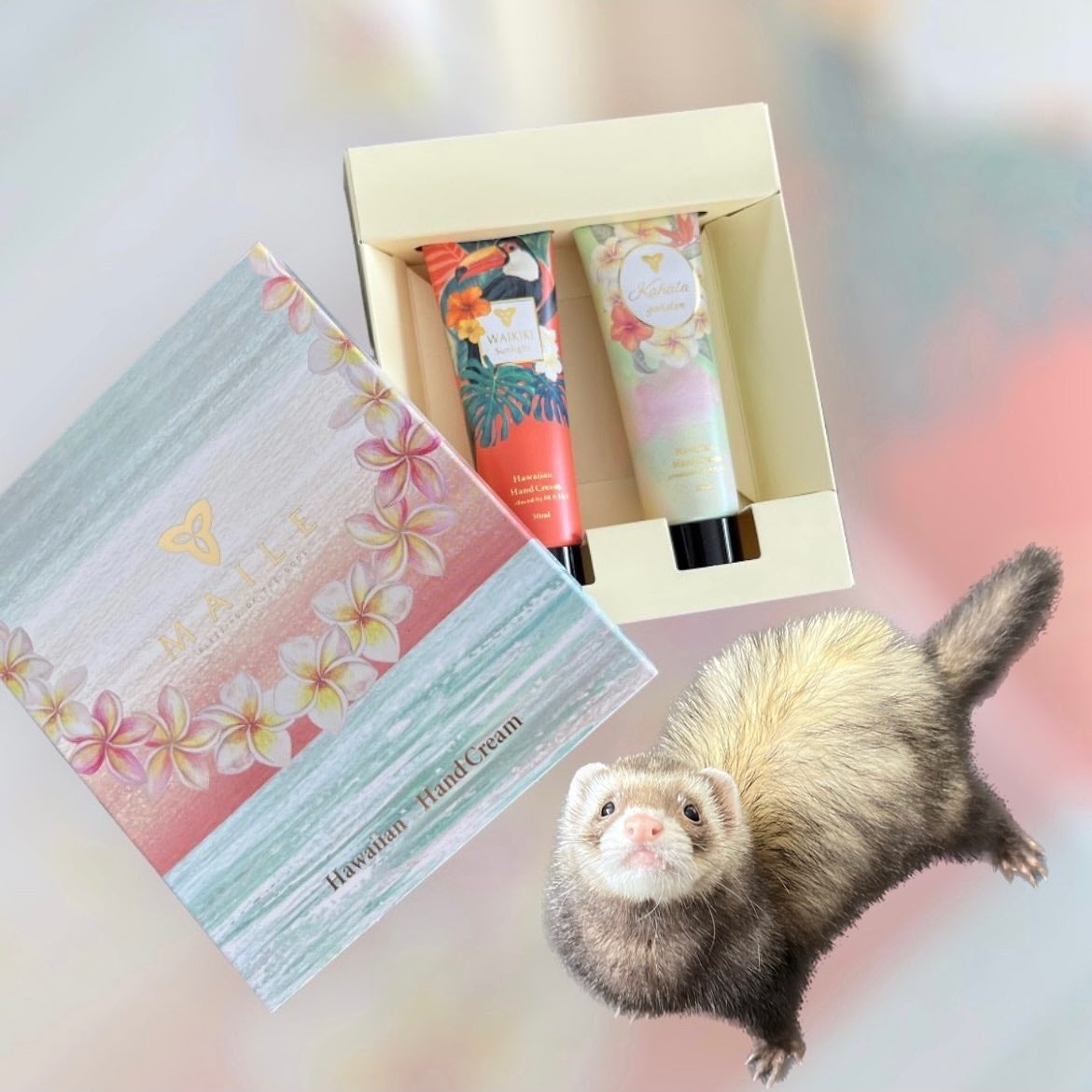 しゅわちゃん on LIPS 「MAILEハワイを感じるハンドクリーム🌺🌴アロハセットを頂いた..」(1枚目)