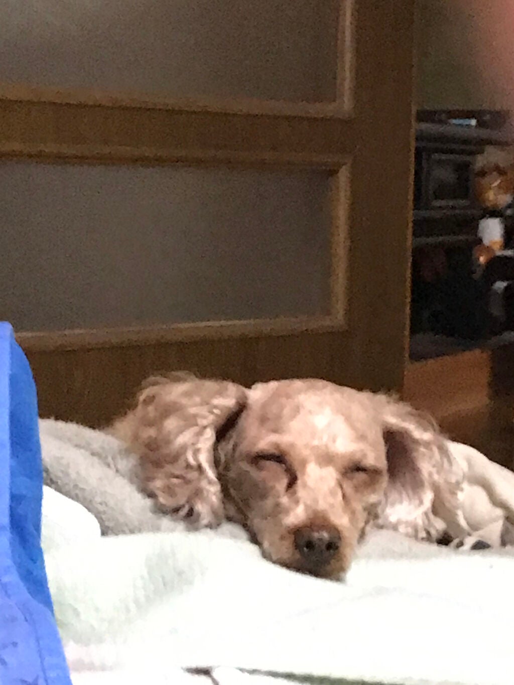 モグ ジェルクレンジング/mogu/クレンジングジェルを使ったクチコミ(2枚目)