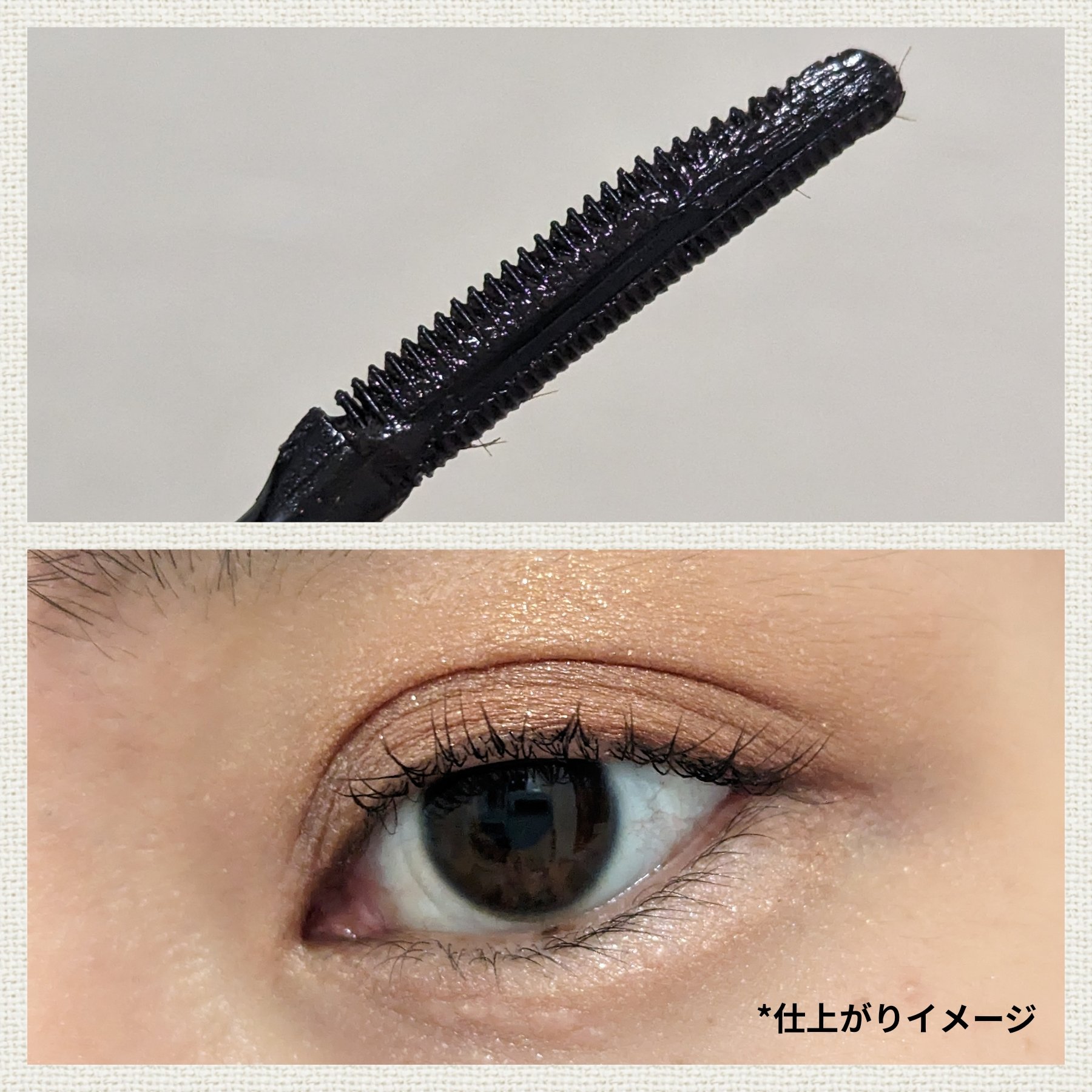 ウォンジョンヨ ヌードアイラッシュ J1 ミュートブラウン/Wonjungyo/マスカラを使ったクチコミ（2枚目）