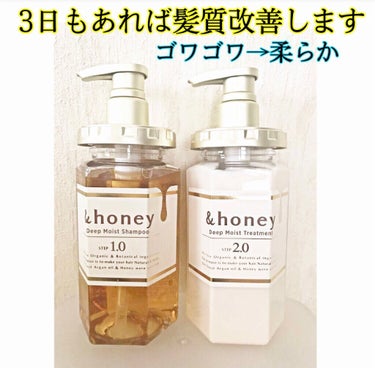 ディープモイスト シャンプー1.0／ヘアトリートメント2.0/&honey/シャンプー・コンディショナーを使ったクチコミ（1枚目）