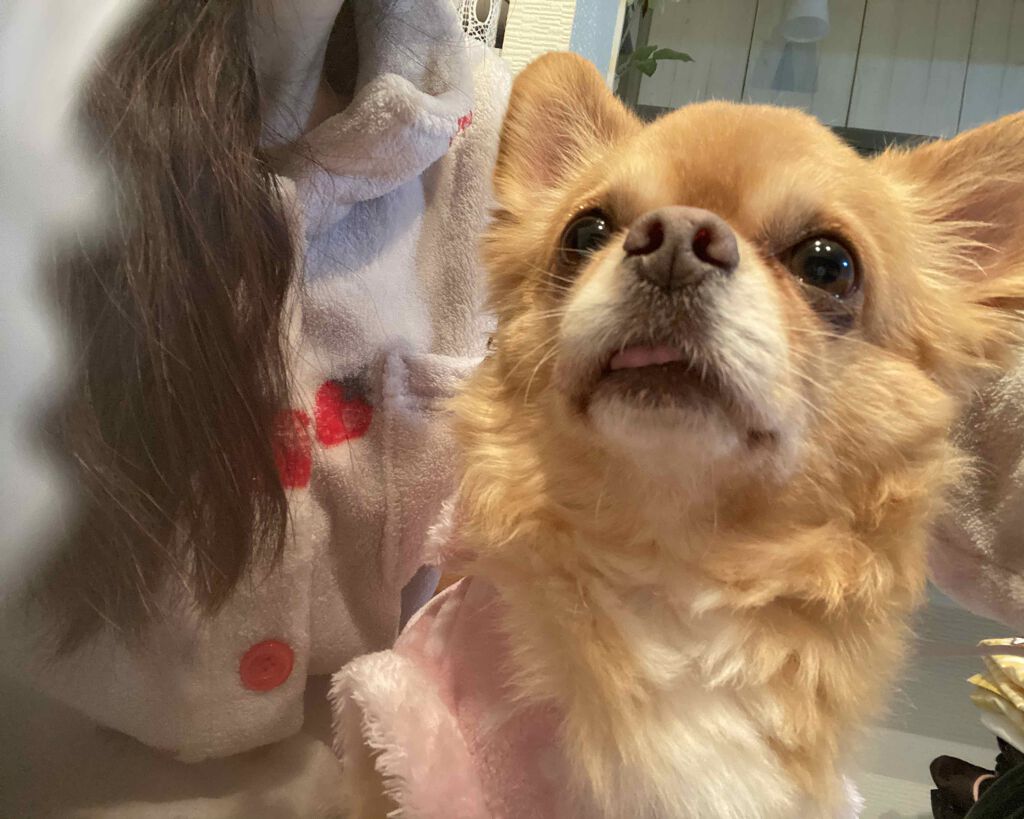 チョコラBBドリンクビット(医薬品)/チョコラBB/その他を使ったクチコミ(10枚目)