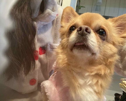 チョコラBBドリンクビット(医薬品)/チョコラBB/その他を使ったクチコミ(10枚目)