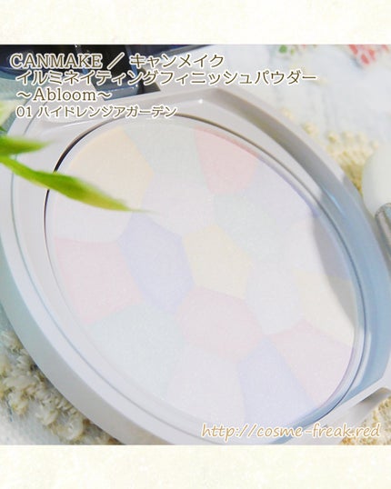 イルミネイティングフィニッシュパウダー ~Abloom~/キャンメイク/プレストパウダーを使ったクチコミ(3枚目)