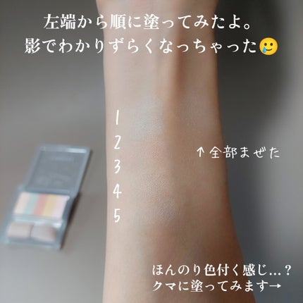 パステルヴェールコンシーラー/キャンメイク/パレットコンシーラーを使ったクチコミ(2枚目)