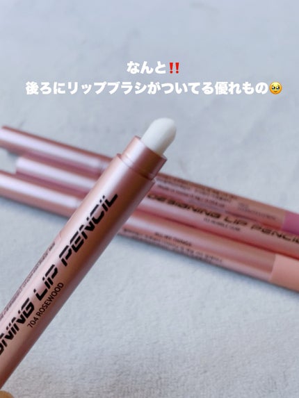 オールマイシングス トゥルービューティー デザイニング リップペンシル/all my things/リップライナーを使ったクチコミ(7枚目)