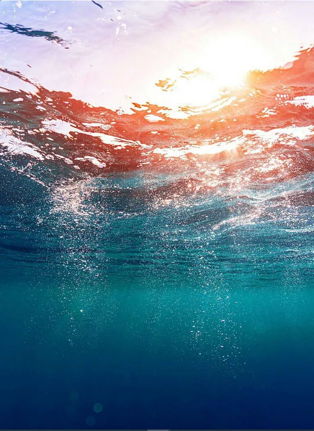 shinasaka 脱毛器 光美容器/shinasaka/家庭用脱毛器を使ったクチコミ（1枚目）