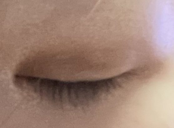 女王のカメオミニマルチパレット/COLORROSE/マルチパレットを使ったクチコミ（2枚目）