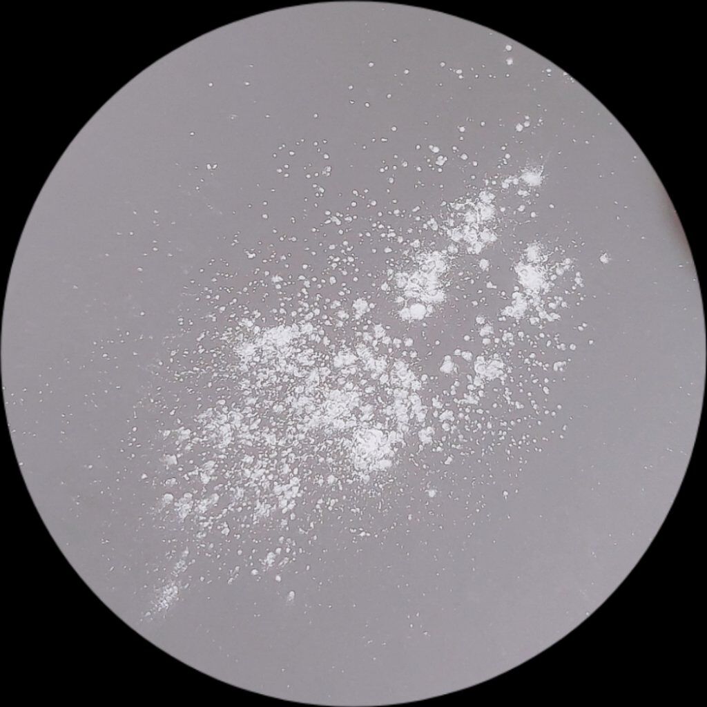 SOON+ プロバイオティクスミューンパウダー/soon＋/ルースパウダーを使ったクチコミ（3枚目）