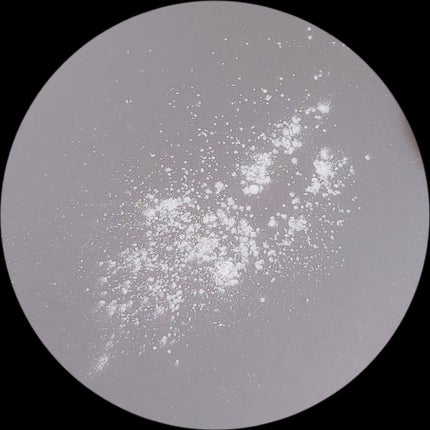 SOON+ プロバイオティクスミューンパウダー/soon+/ルースパウダーを使ったクチコミ(3枚目)