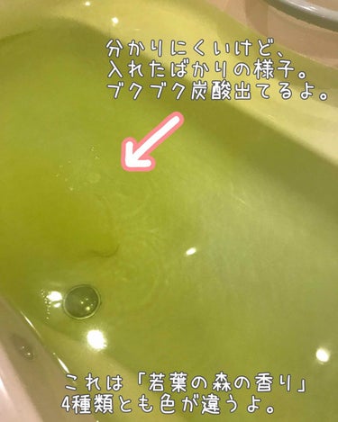 アース製薬 温泡 こだわり森のクチコミ「#アース製薬

温泡 こだわり森 炭酸湯
20錠入り



♨️有効成分♨️
炭酸水素Na、乾.....」（3枚目）