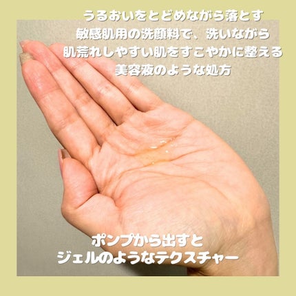 カーミングフェイシャルウォッシュ/favs/洗顔フォームを使ったクチコミ(2枚目)