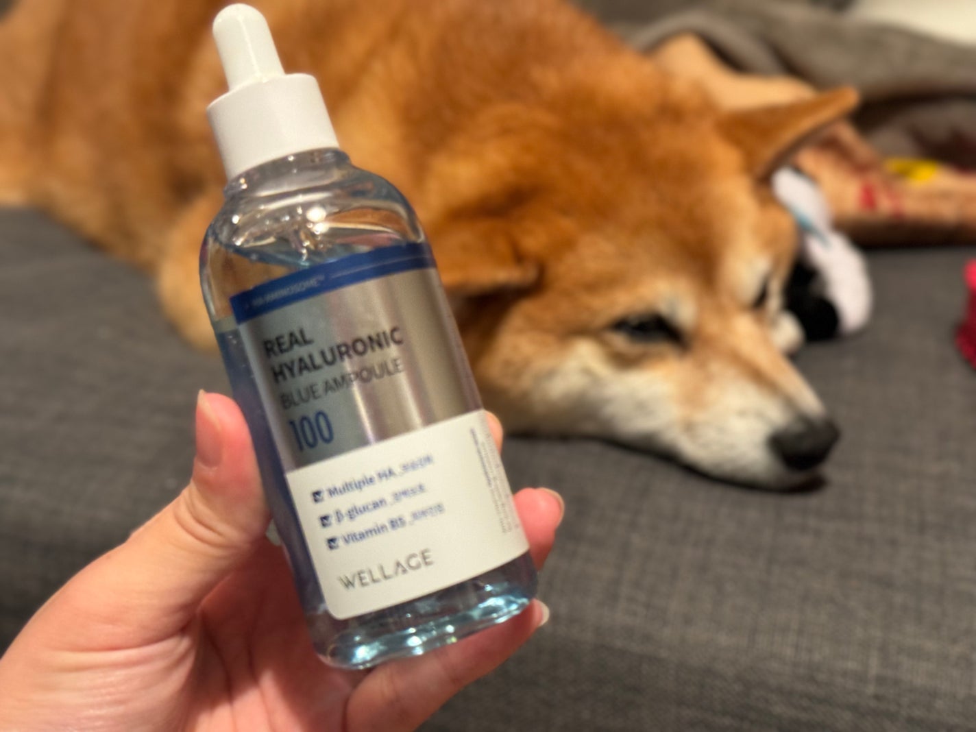 リアルヒアルロニックブルーアンプル 100/Wellage/美容液を使ったクチコミ(1枚目)