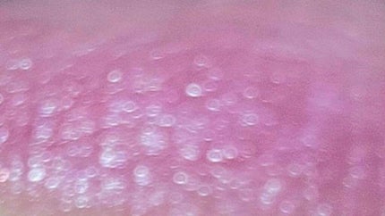 ラスティング リップカラーN/CEZANNE/口紅を使ったクチコミ(3枚目)