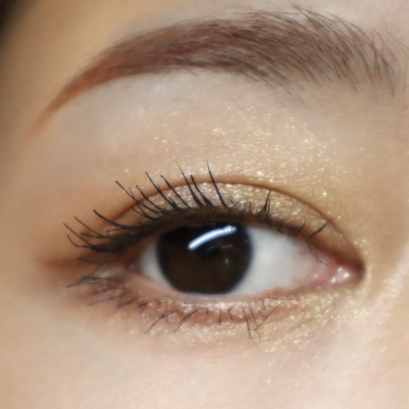 アディクション ホリデー アディクション ファンタジー フリーフォール /ADDICTION/メイクアップキットを使ったクチコミ(10枚目)