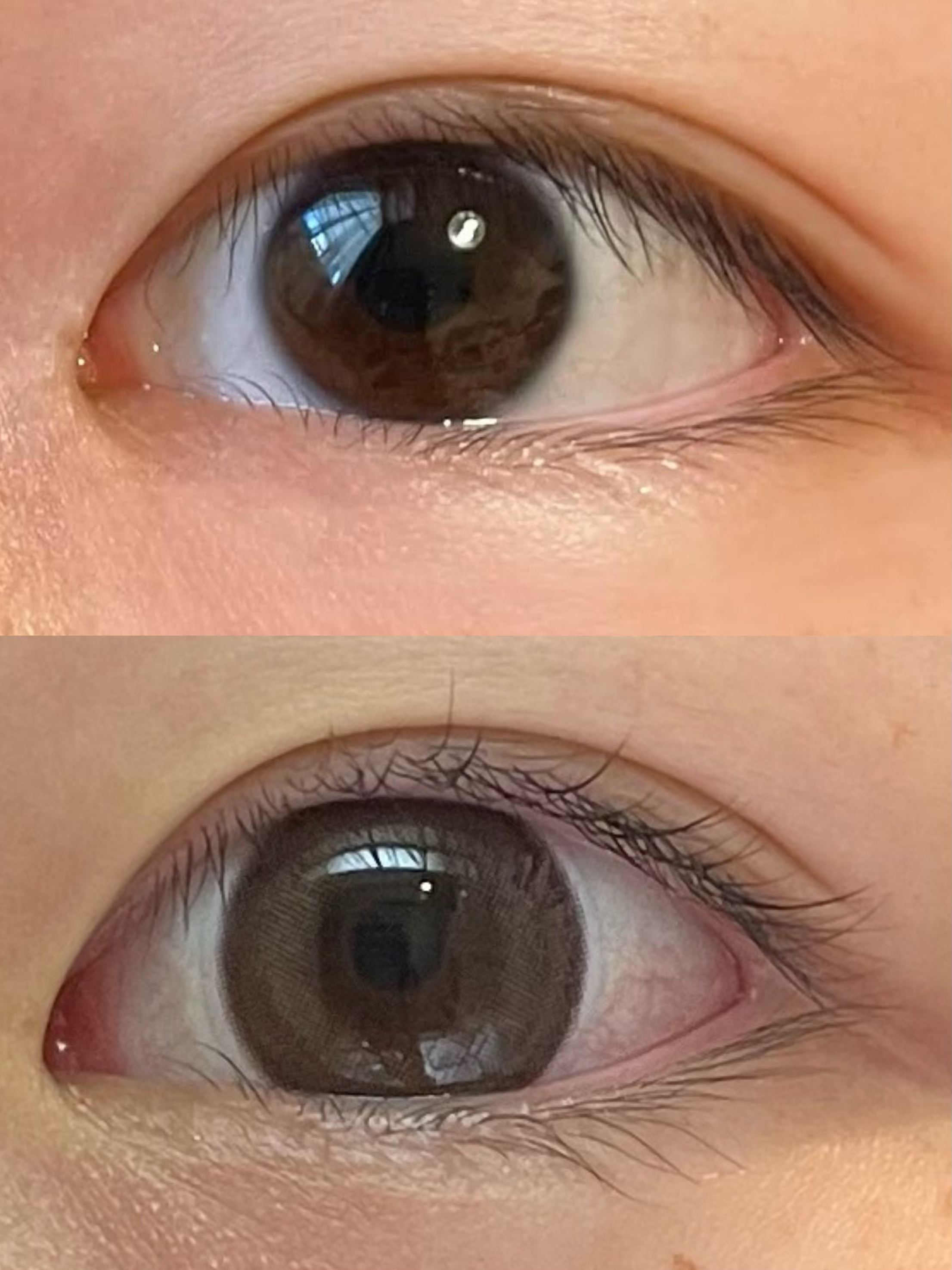 TeAmo 1DAY スウィートノアール/TeAmo/ワンデー（１DAY）カラコンを使ったクチコミ（2枚目）