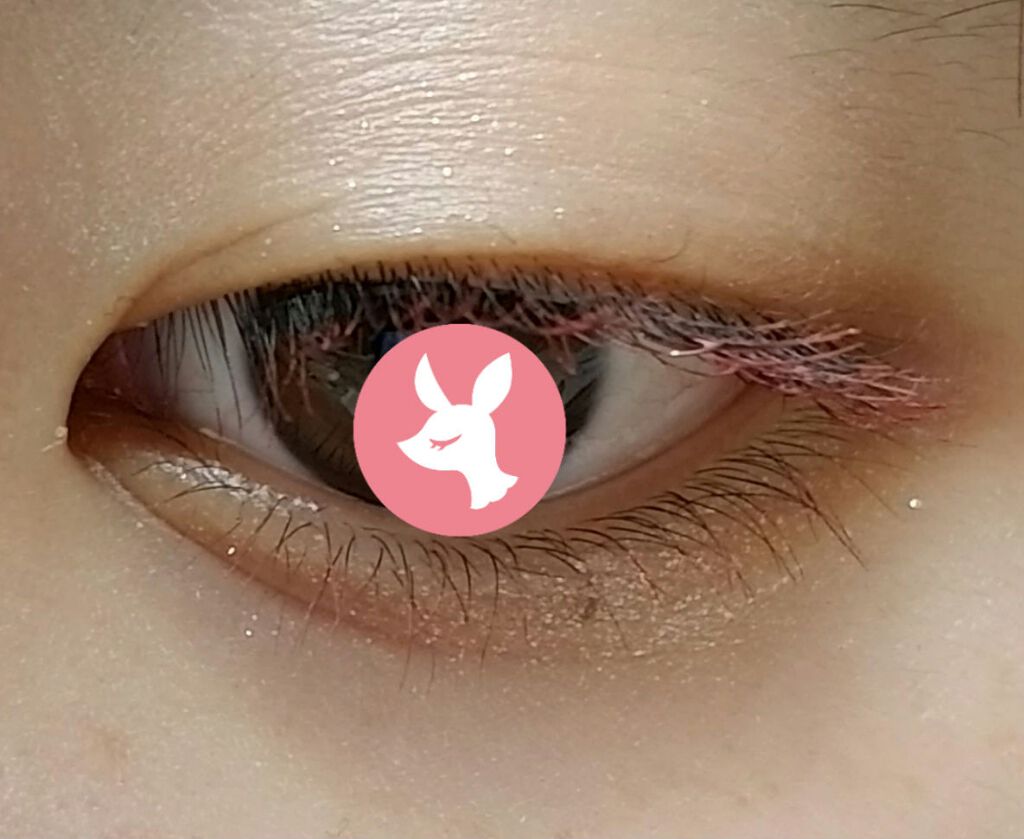 ロング&カールマスカラ/WHOMEE/マスカラを使ったクチコミ(4枚目)