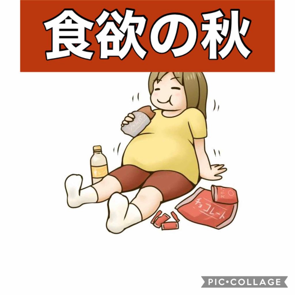 食べてもDiet/井藤漢方製薬/ボディサプリメントを使ったクチコミ（1枚目）